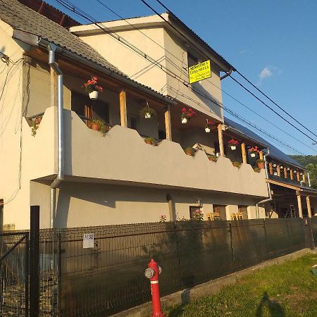 Pensiunea Casa Maria Vişeu de Sus エクステリア 写真